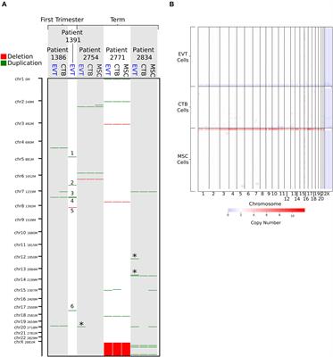 Transcriptomic Drivers of Differentiation, Maturation, and Polyploidy in Human Extravillous Trophoblast